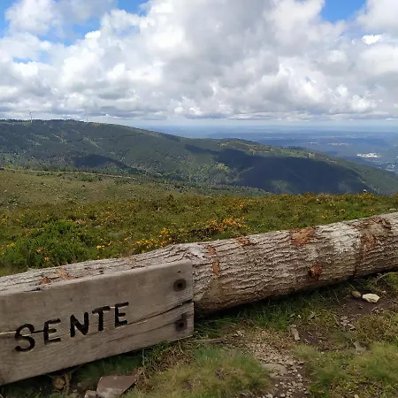 Rés Do Chão Da Montanha Mágica