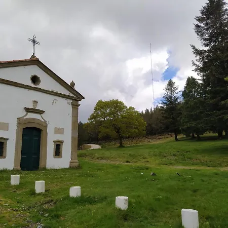 Rés Do Chão Da Montanha Mágica *