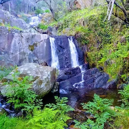 Rés Do Chão Da Montanha Mágica * Lousã