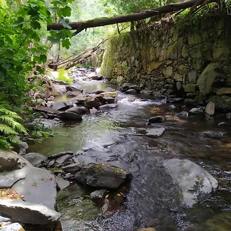 Rés Do Chão Da Montanha Mágica Apartamento