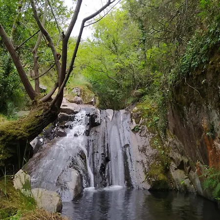 Apartamento Rés Do Chão Da Montanha Mágica *