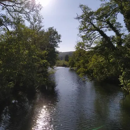 Res Do Chao Da Montanha Magica Lousa (Coimbra)
