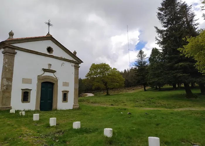 Res Do Chao Da Montanha Magica *