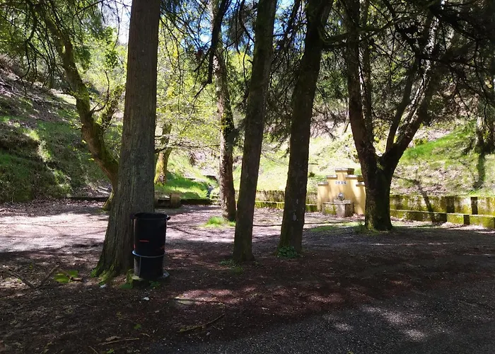 Apartman Res Do Chao Da Montanha Magica Lousã