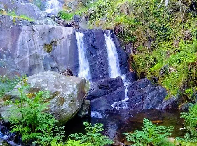 Res Do Chao Da Montanha Magica * Lousã