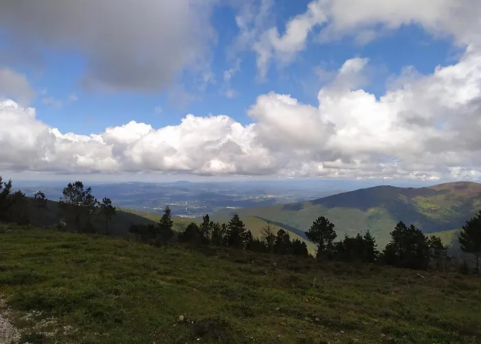 Res Do Chao Da Montanha Magica