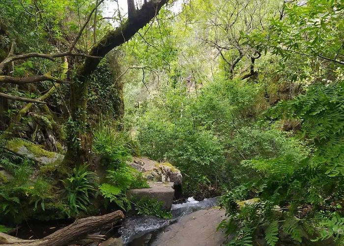 Res Do Chao Da Montanha Magica Apartman *