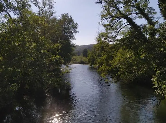 Res Do Chao Da Montanha Magica Lousã