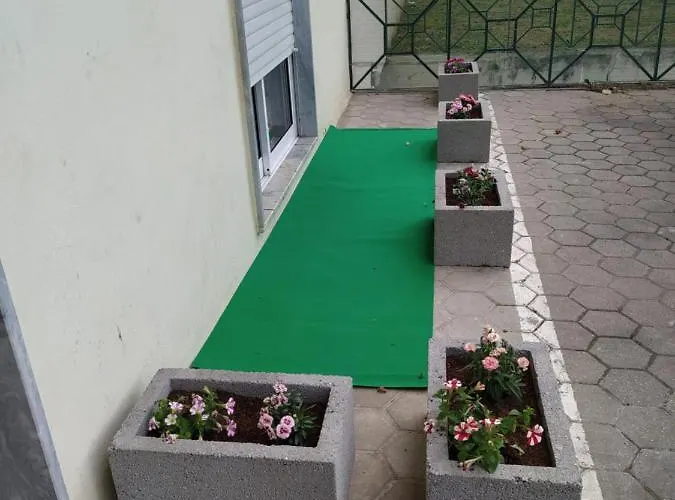 Res Do Chao Da Montanha Magica * Lousã